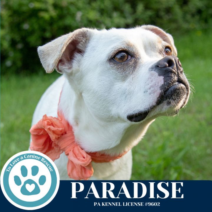 Paradise 053125 6