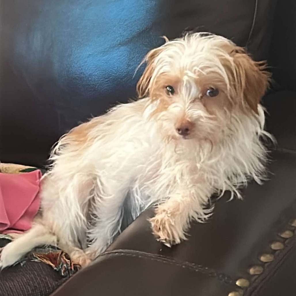 Charlie