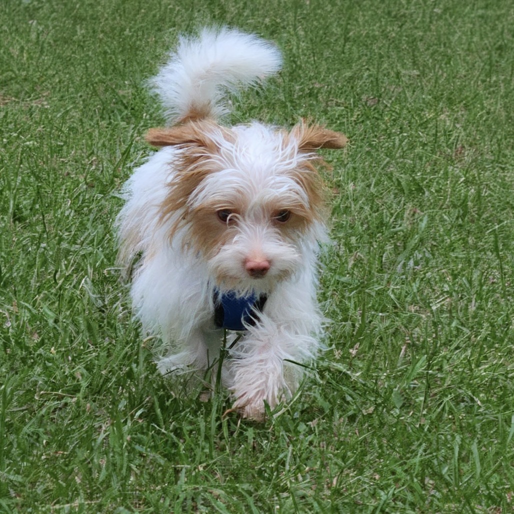 Charlie