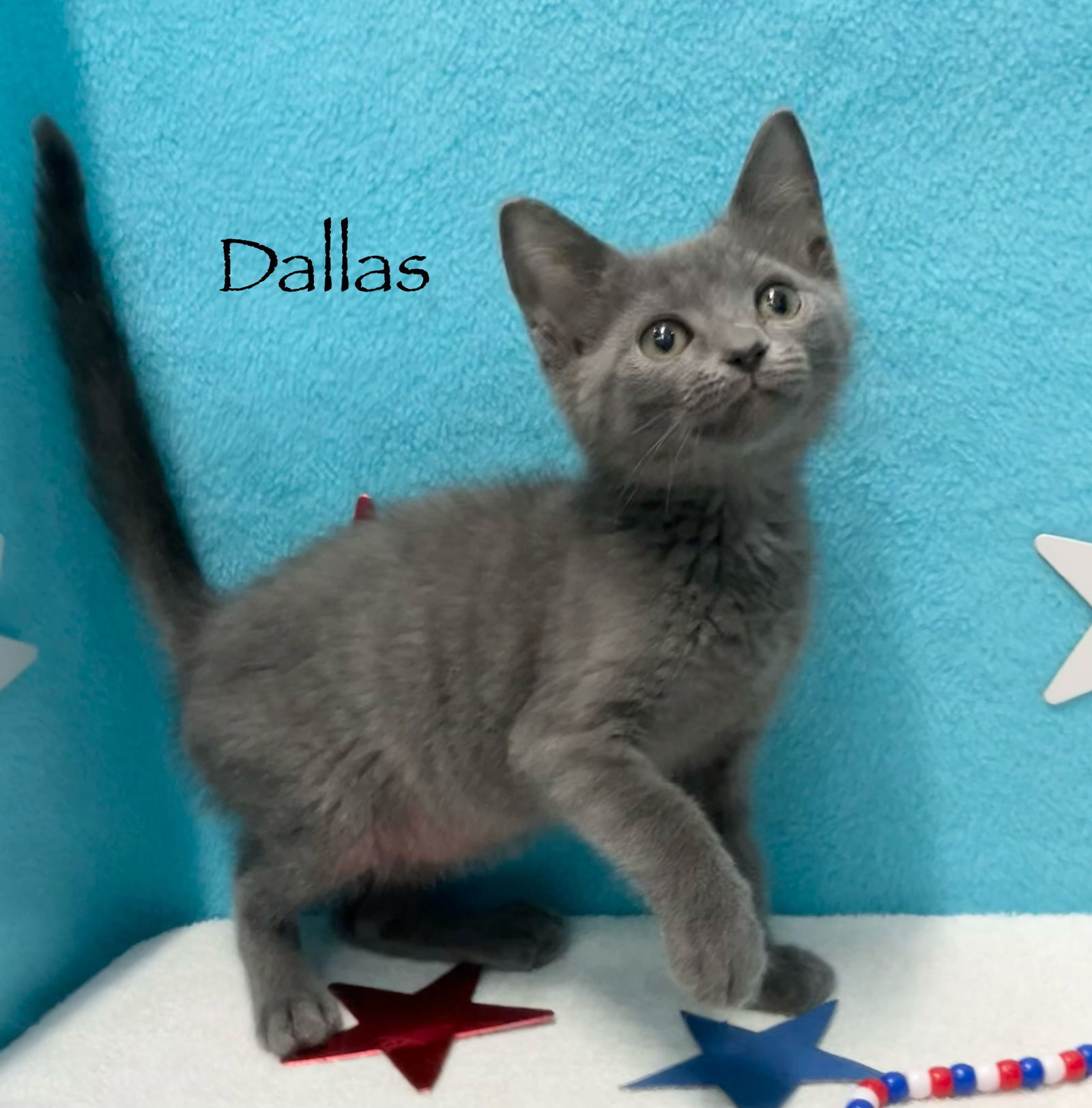 Dallas