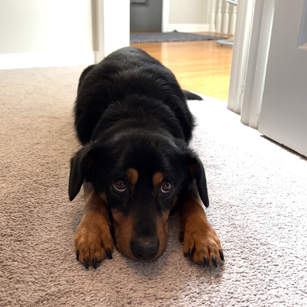 Frank