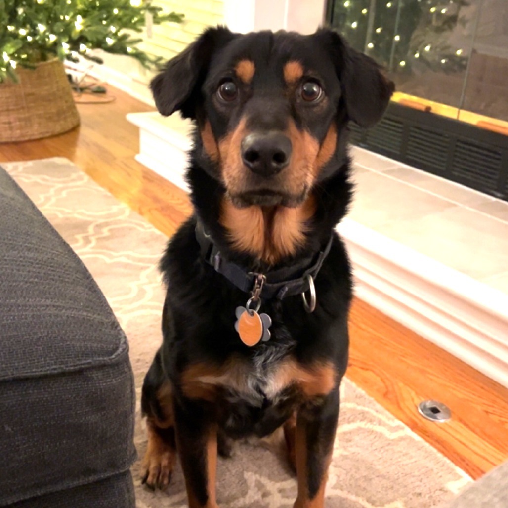 Frank