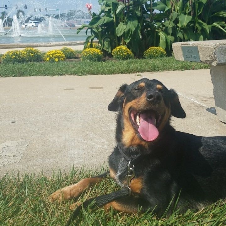 Frank