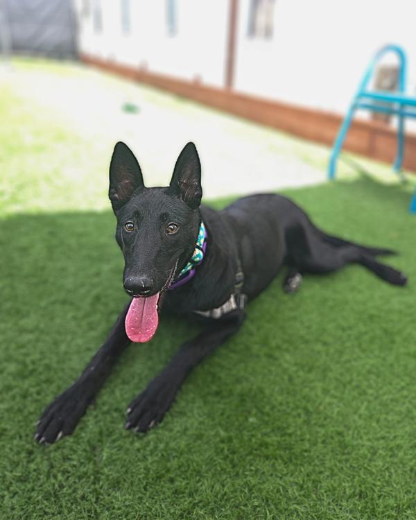 Kiva
