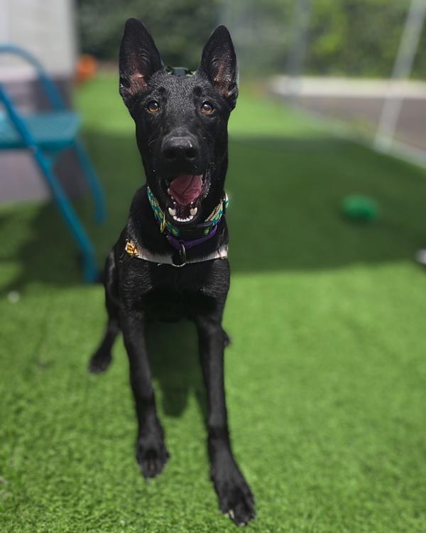 Kiva