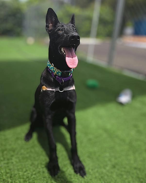 Kiva
