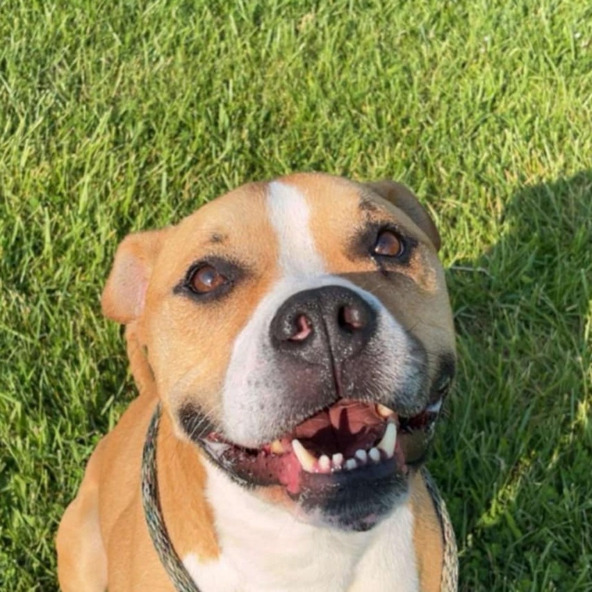 Jax