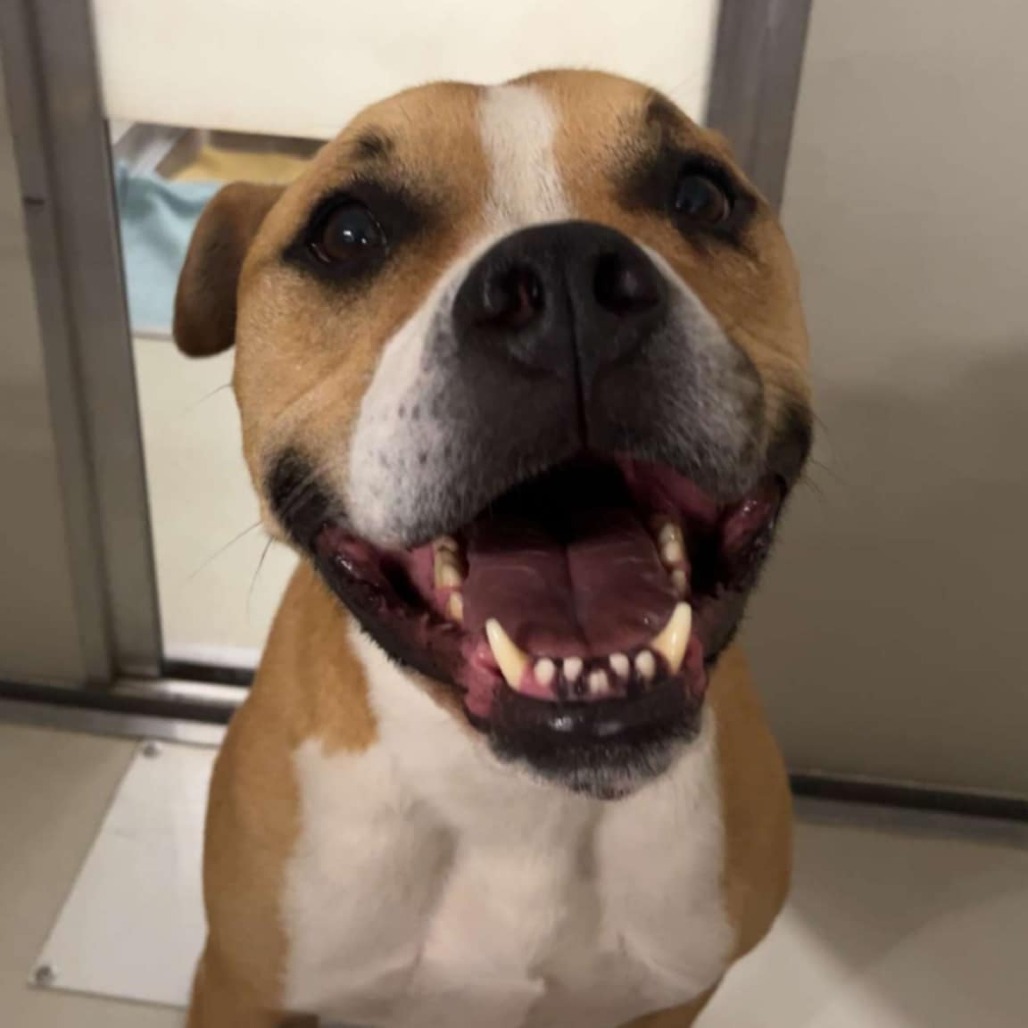 Jax