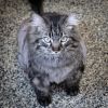 Ren photo 3