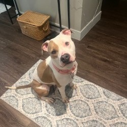 Miss Maggie
