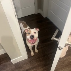 Miss Maggie