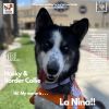 La Nina photo 1