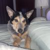 Clyde - Home to Home photo 2