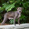 Seraphina photo 2