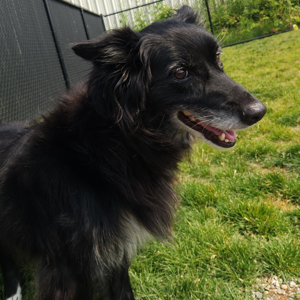 Molly