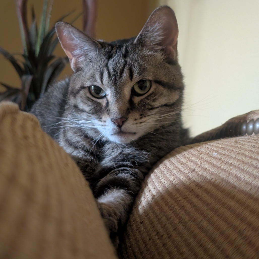 Luna