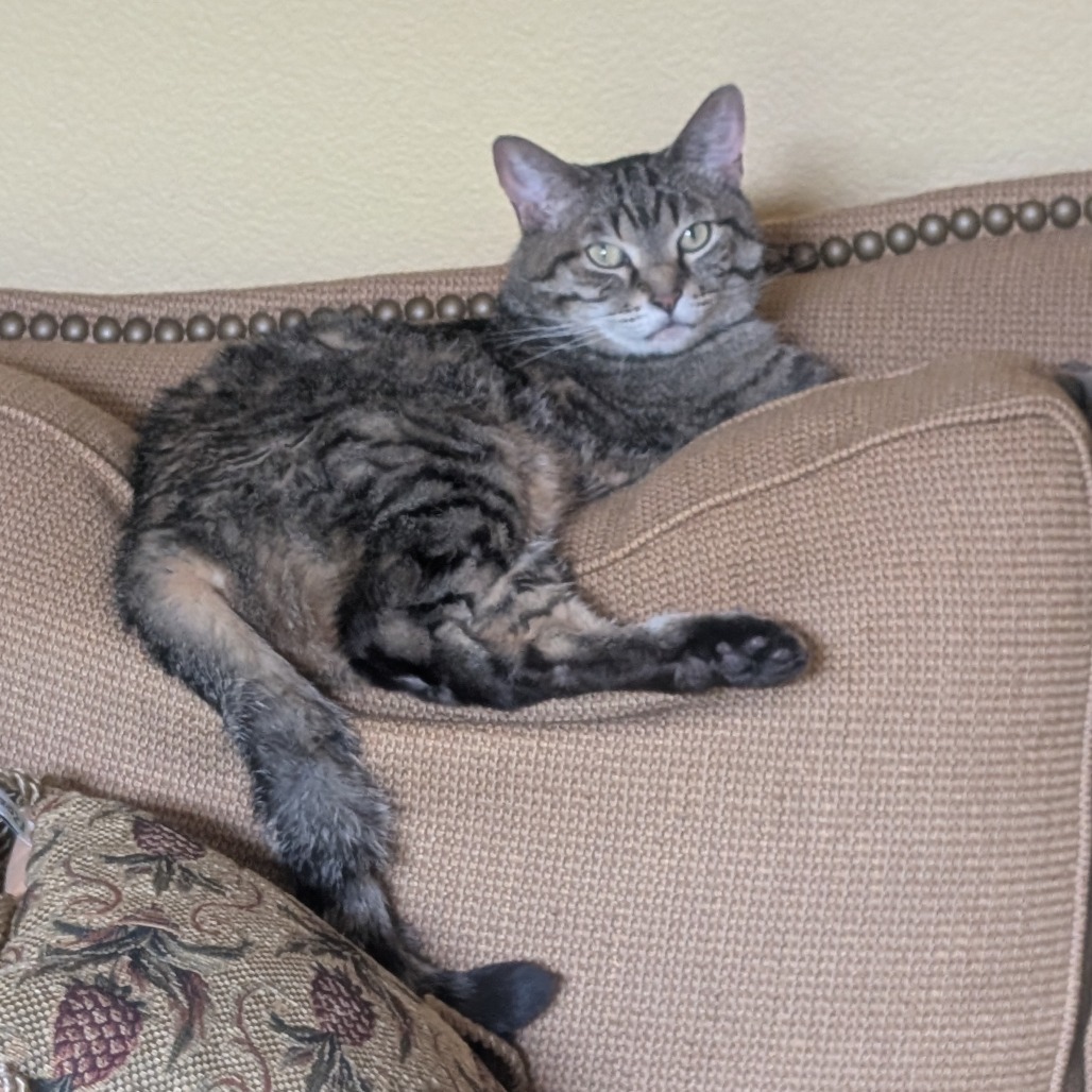 Luna