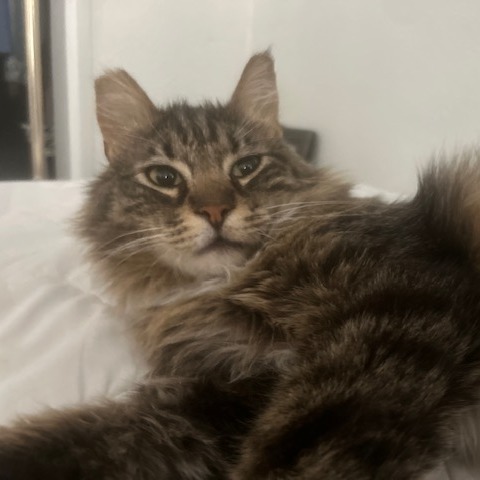 Marley