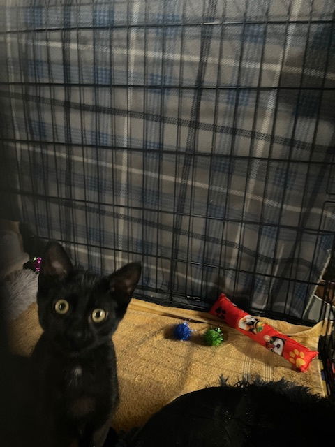 Smudge