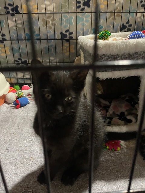 Smudge