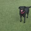 Bella photo 3