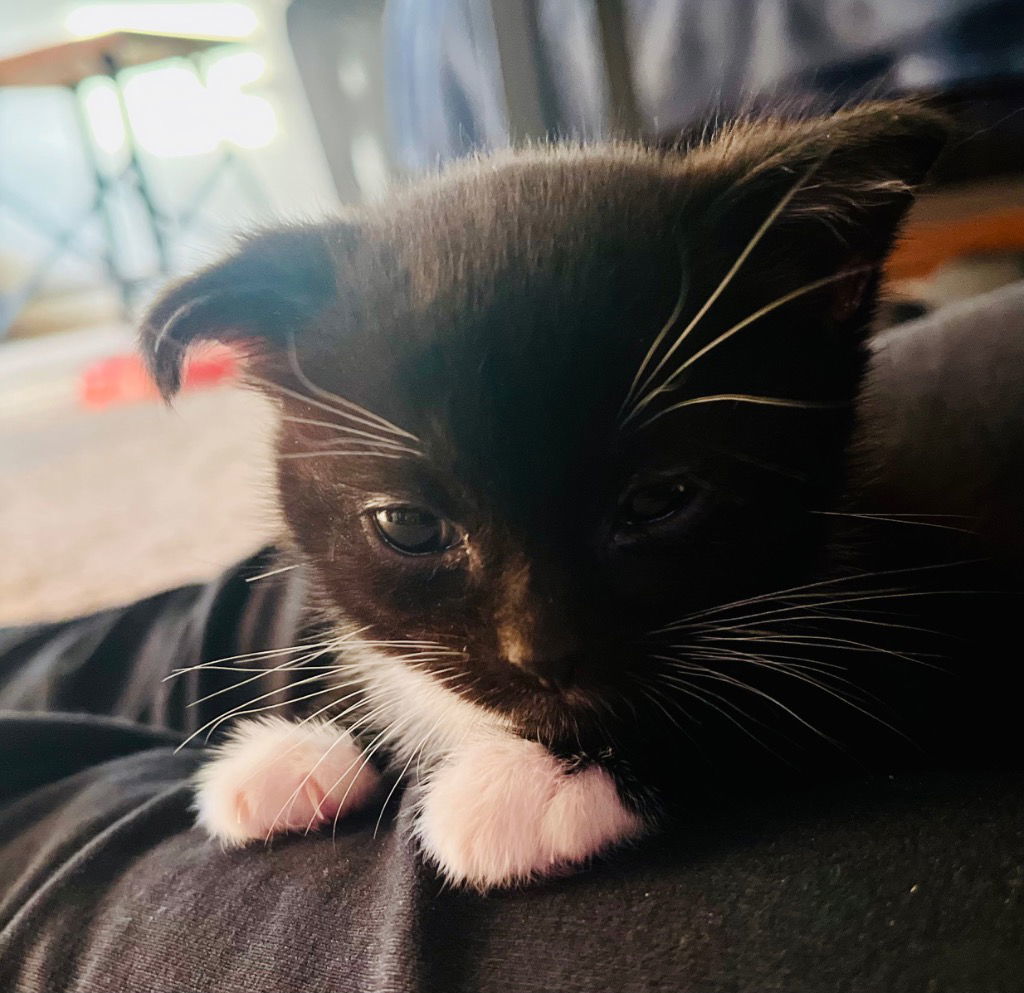 Ruby Sue