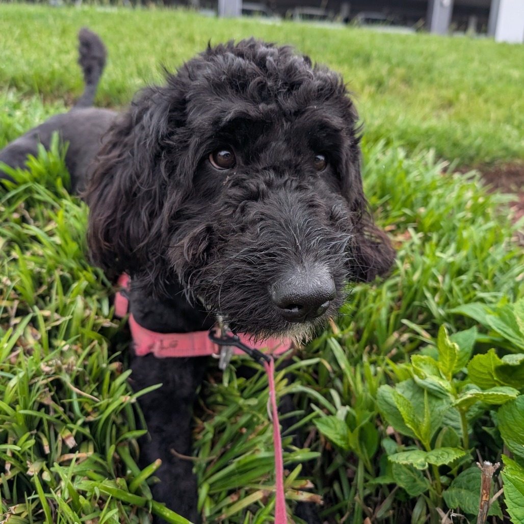 Missy Photo