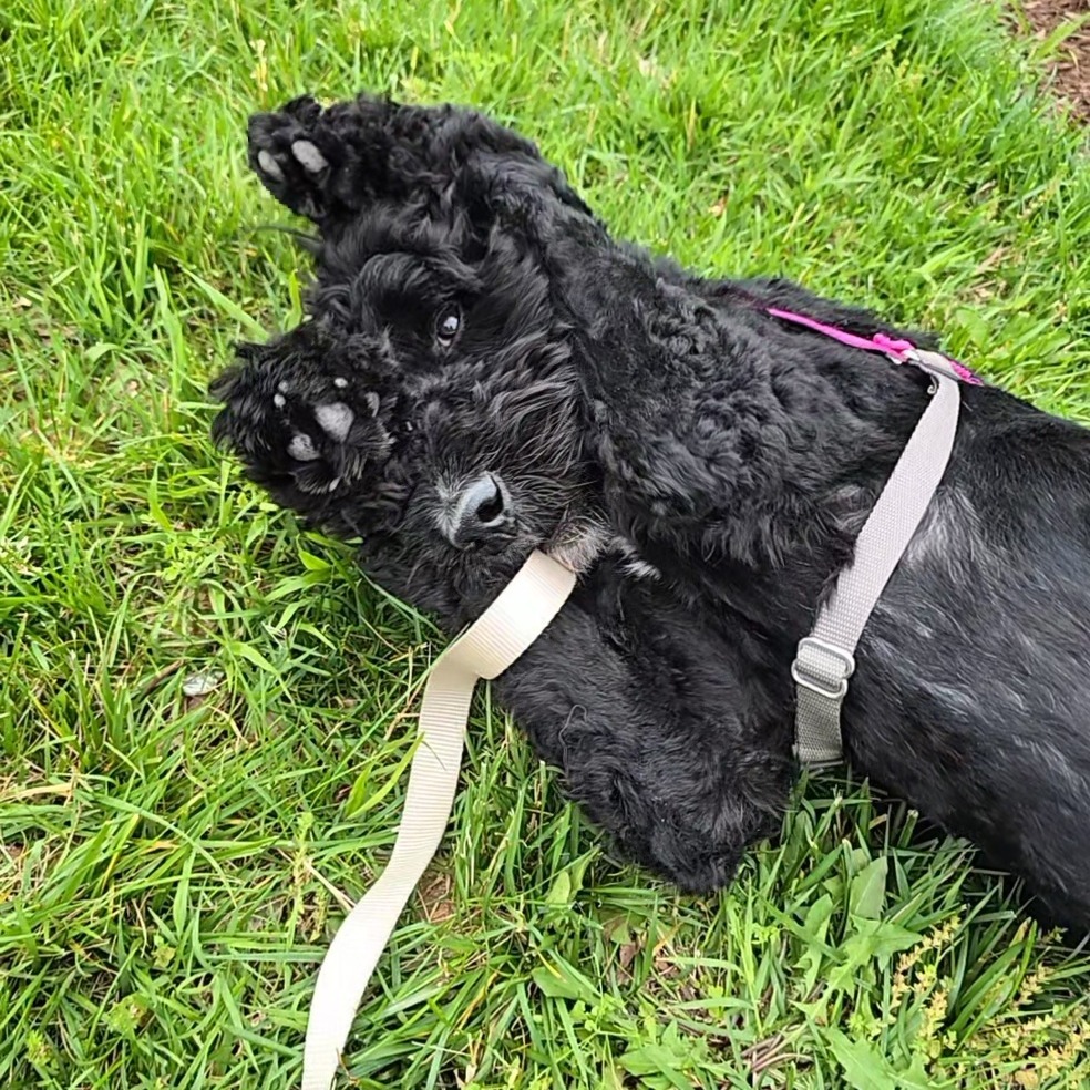 Missy Photo