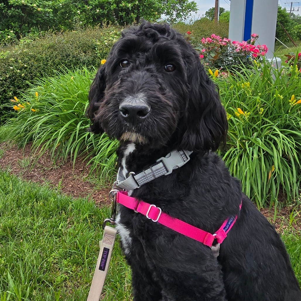 Missy Photo