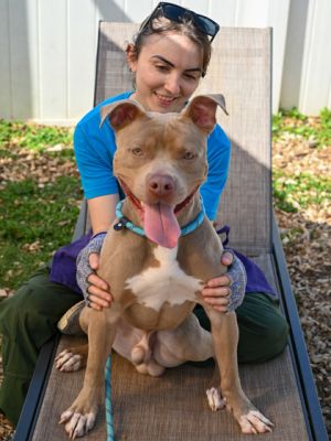Mr. Wiggles Mixed Breed Dog