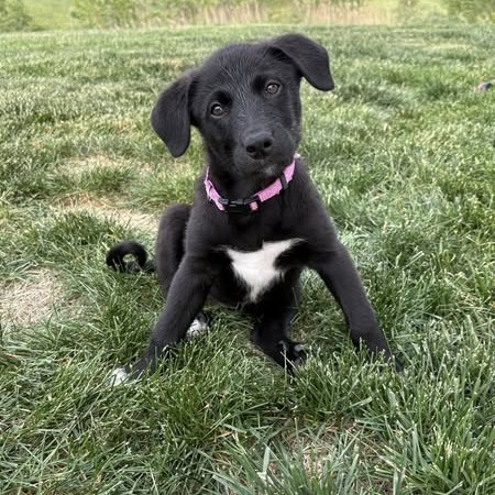Tilly