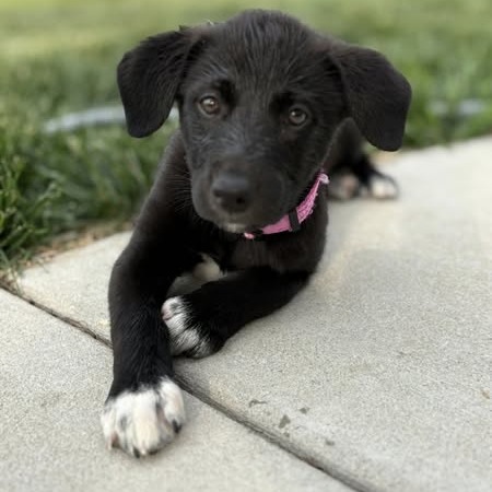 Tilly