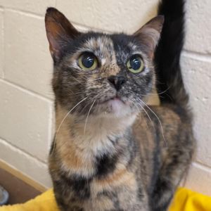 Hi Im Gena I was rescued from the streets and have lived most of my life in an institutional sett