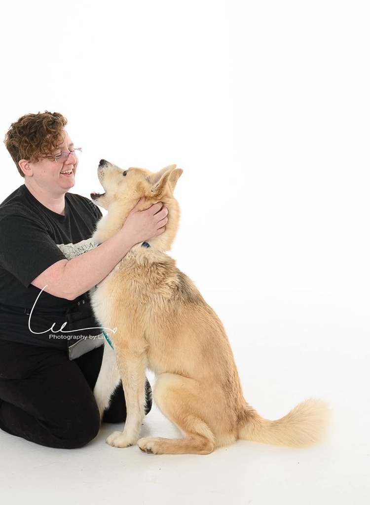 Sunny, an adoptable Mixed Breed in Minot, ND, 58701 | Photo Image 6