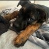 Nellie photo 2