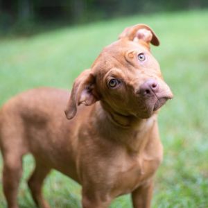 Sally Ride, Baby Female unknown