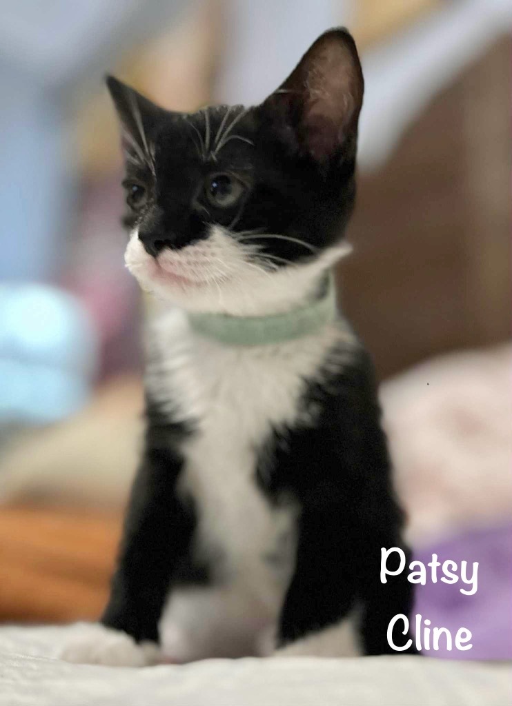 Patsy Cline