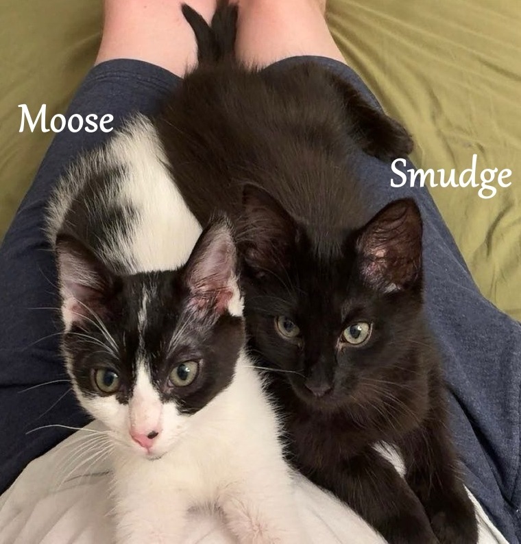 Smudge