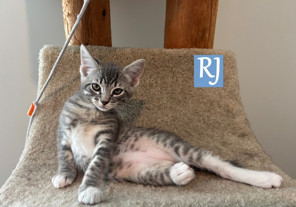 RJ