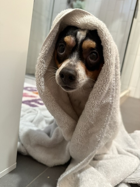 Pappa Photo