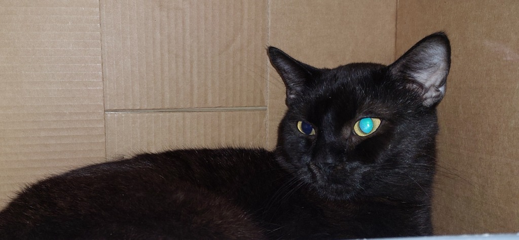Salem