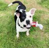 Buster photo 3