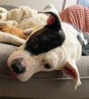 Buster photo 6