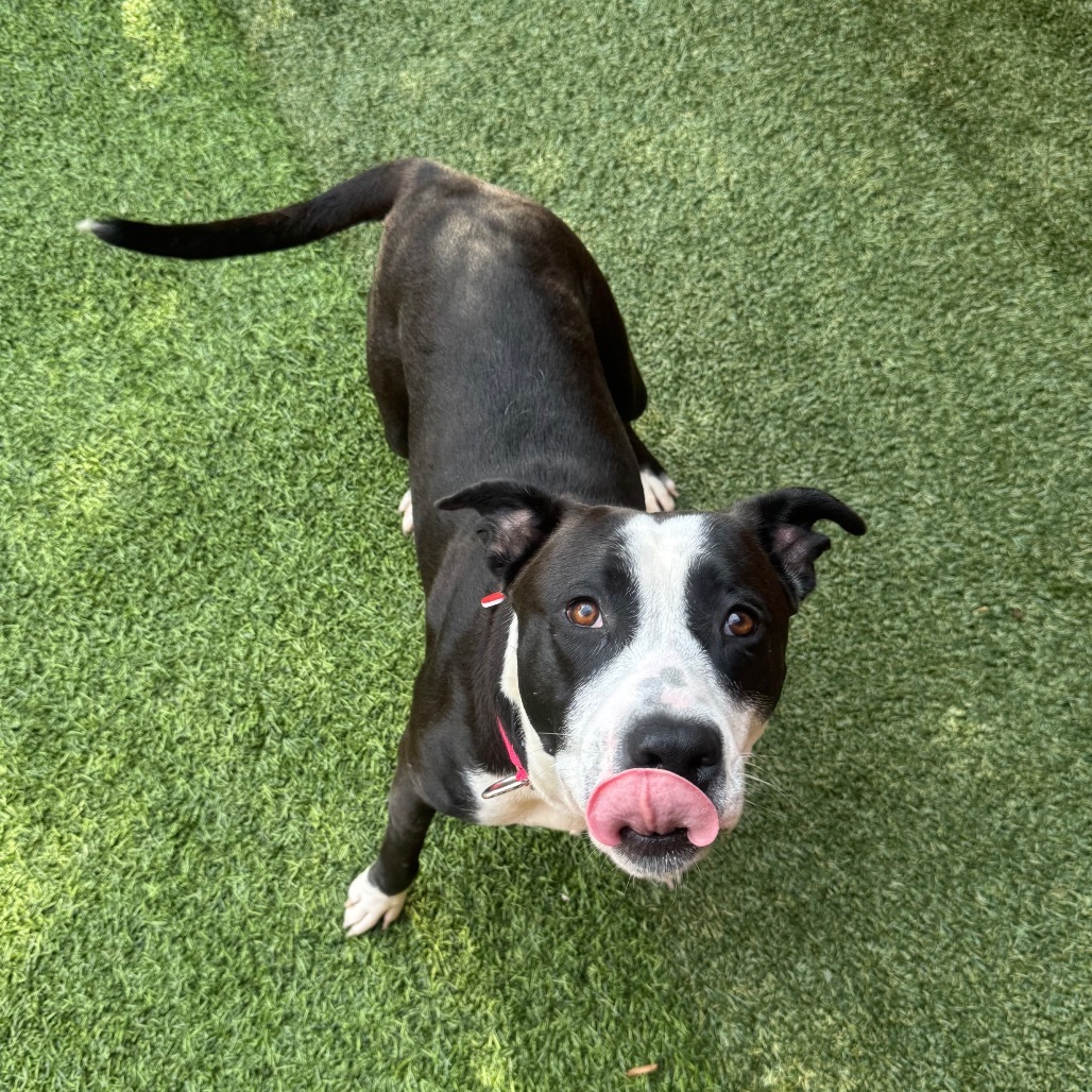 Molly A2194702