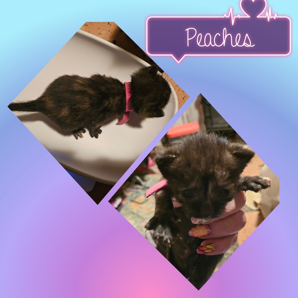 Peaches