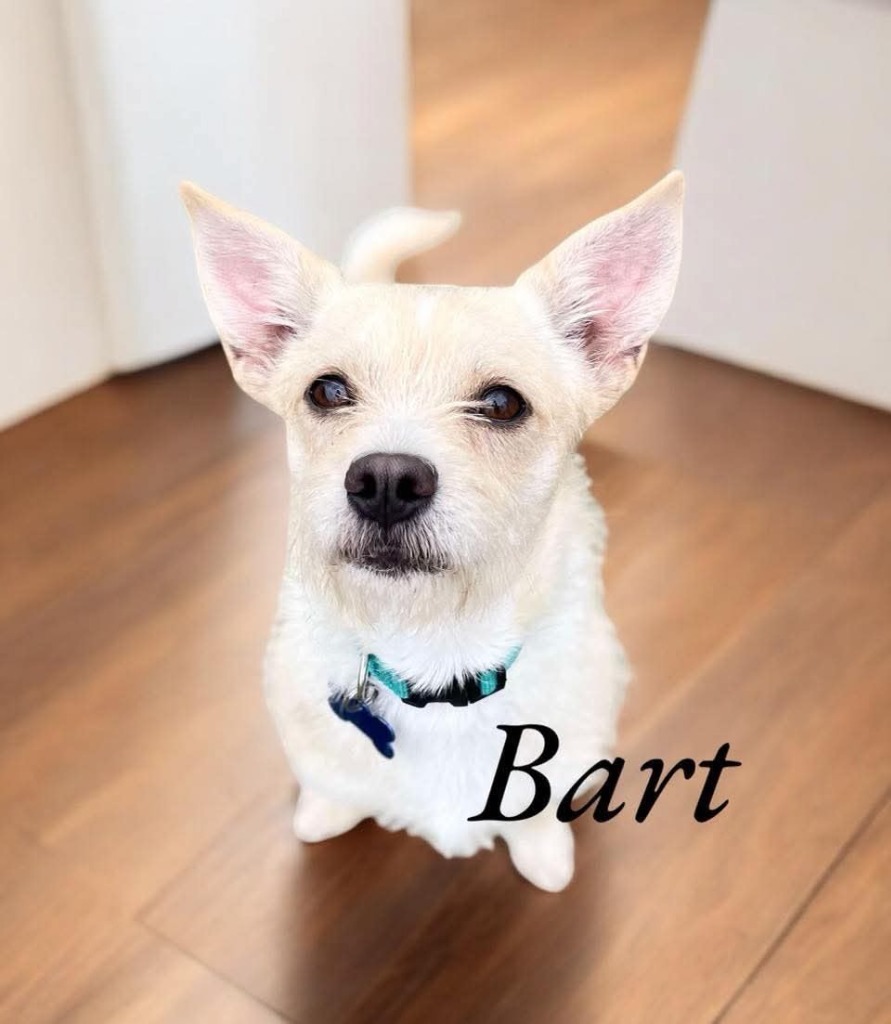 Bart