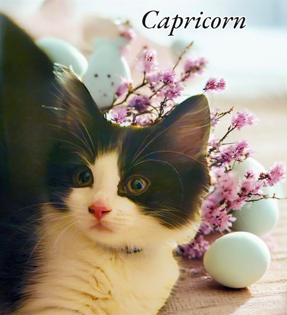 Capricorn