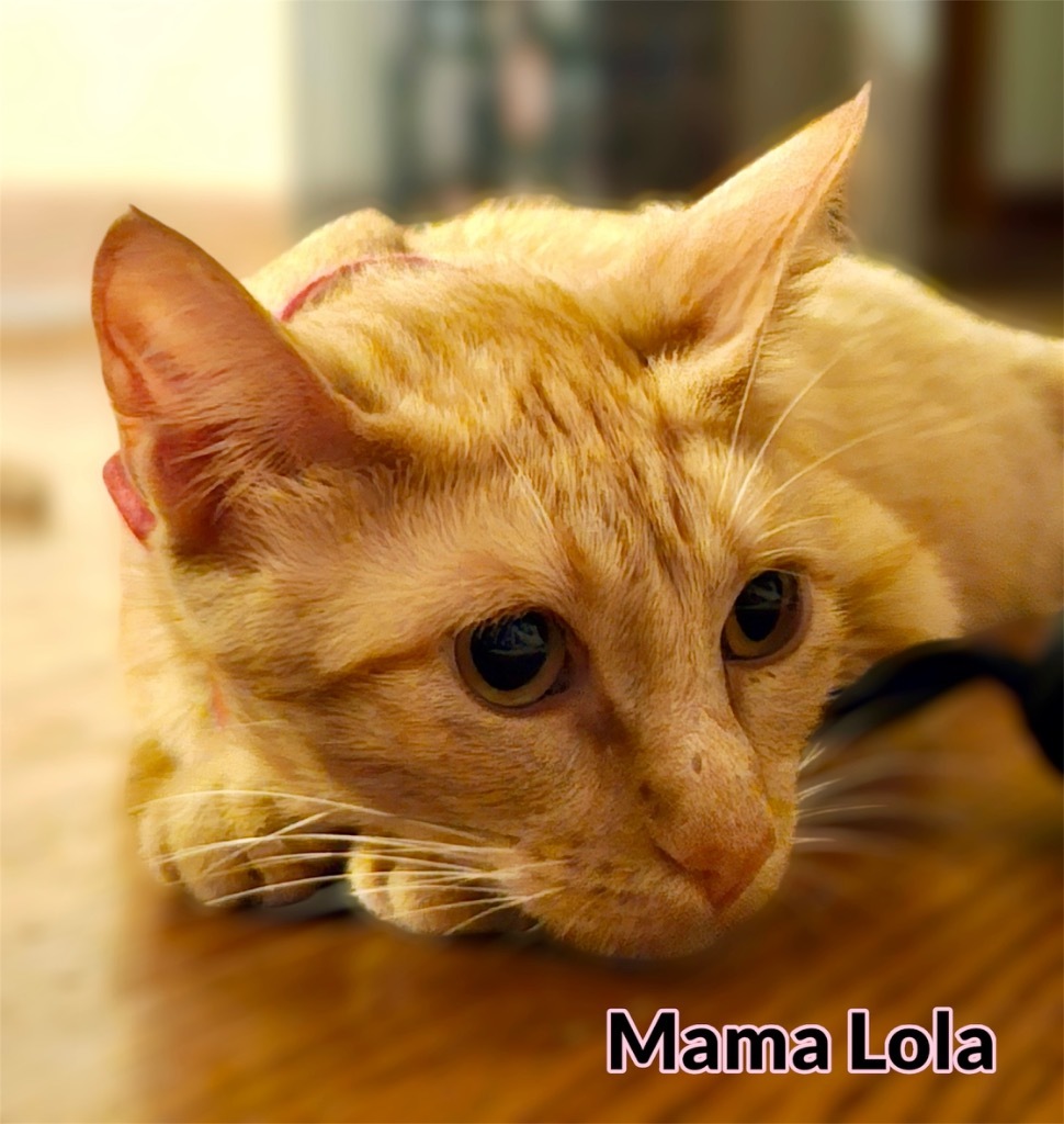 Mama Lola