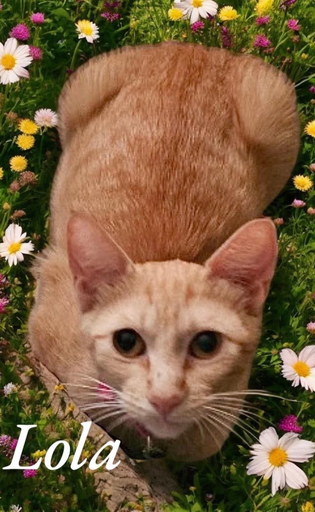 Mama Lola