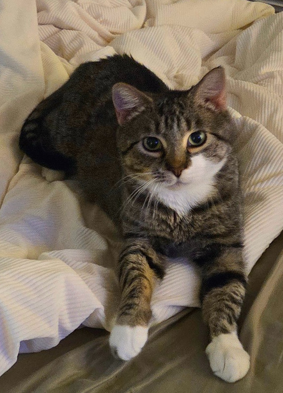 Mama Xina